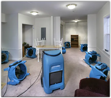 Water Mitigation Services in Freeport, ME