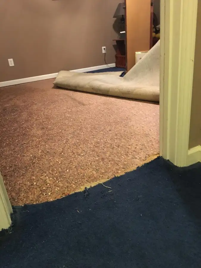 Carpet pad removal revealing water damage during Water Mitigation Services in Freeport