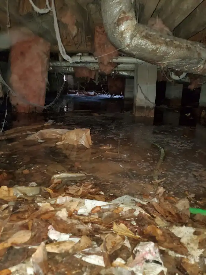 Crawl space flood assessment for Leak Detection & Repair in Freeport